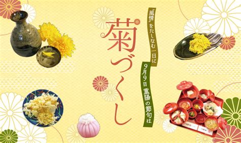 九菊|重陽の節句